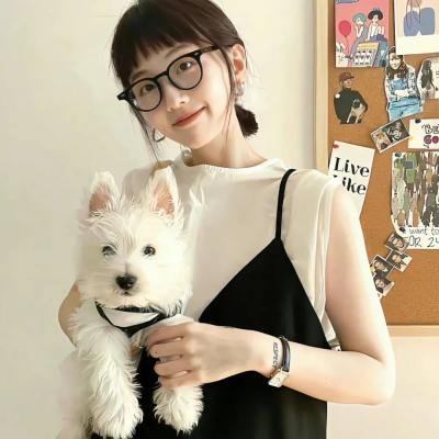 数码神犬 海报